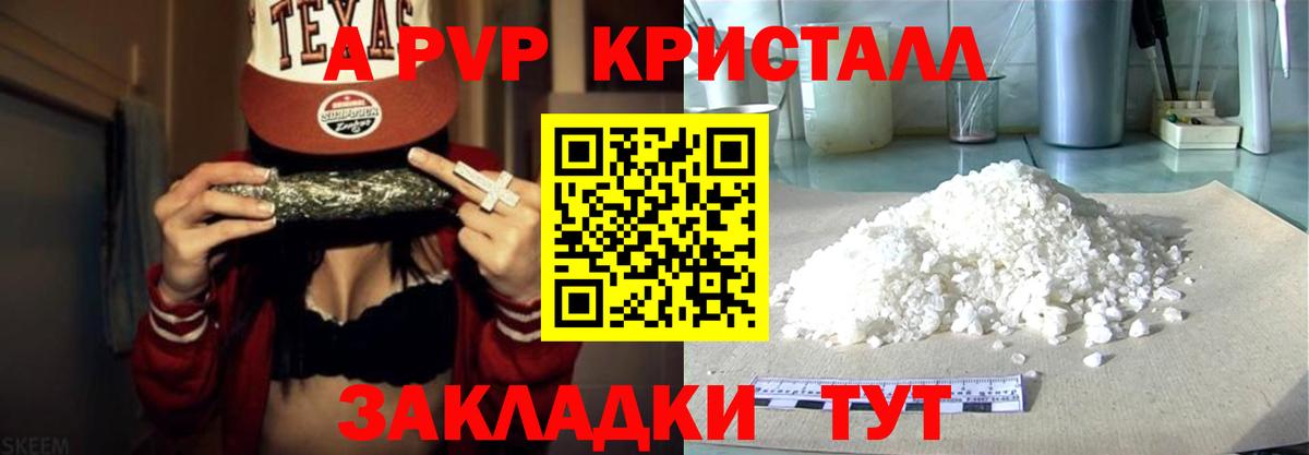 A-PVP СК Владивосток