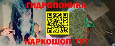 Альфа ПВП Беслан