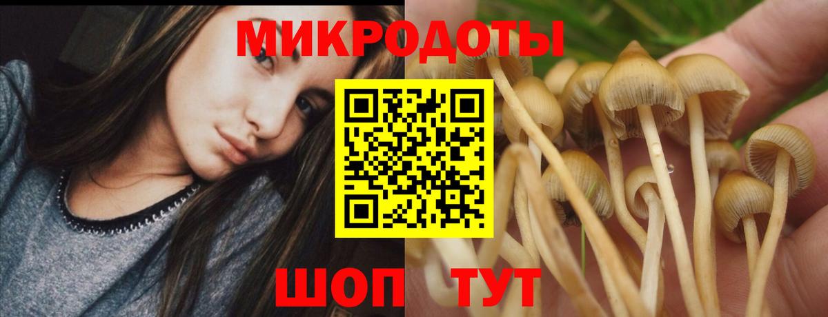 Галлюциногенные грибы Magic Shrooms Владивосток