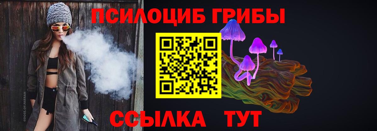 Владивосток  Псилоцибиновые грибы прущие грибы  закладка  Галлюциногенные грибы Magic Shrooms  Вход с VPN 